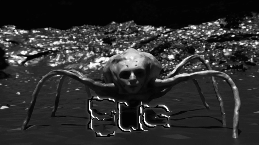 Bug
